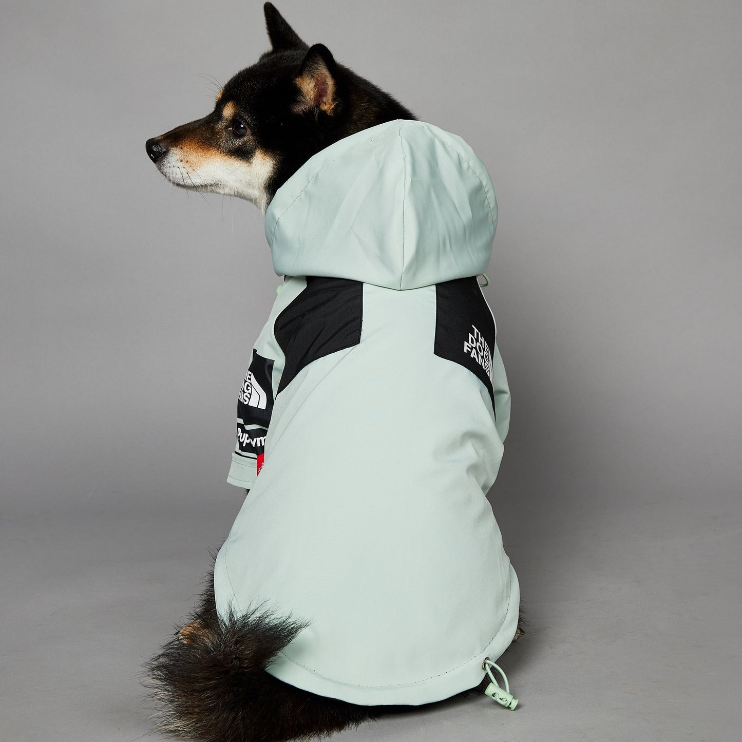 Dog Raincoat Luxe