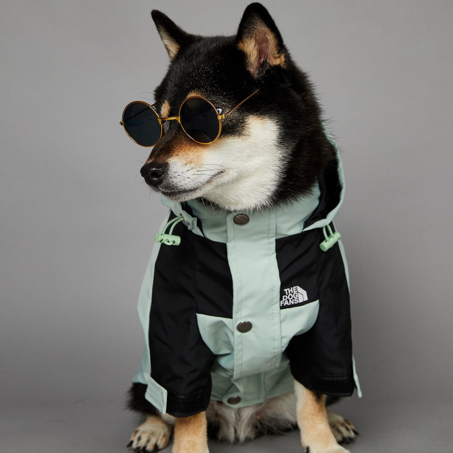 Dog Raincoat Luxe