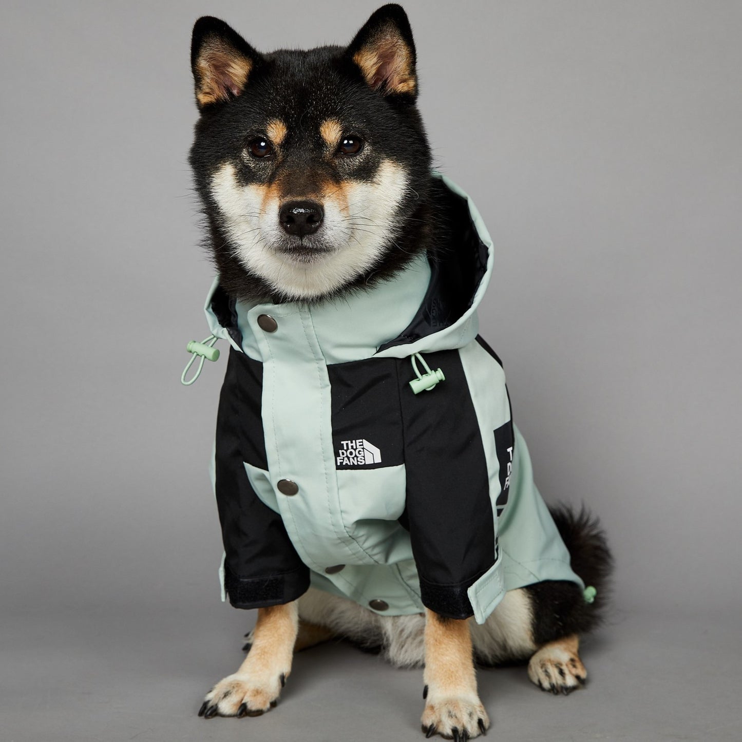 Dog Raincoat Luxe