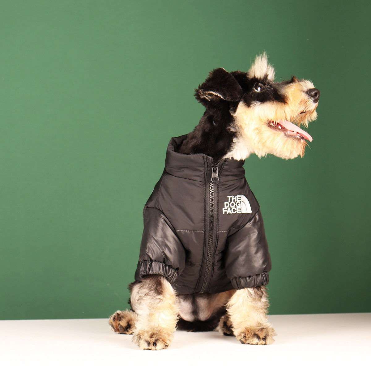 The DOG FACE Jacket