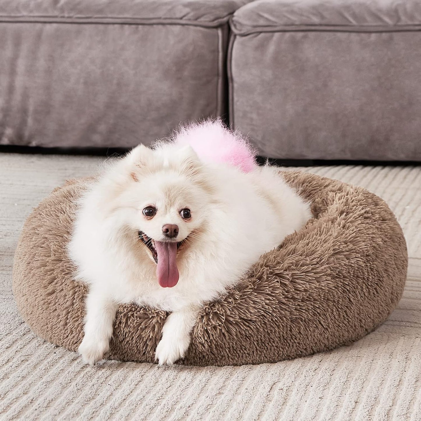 SafeNest Calming Bed