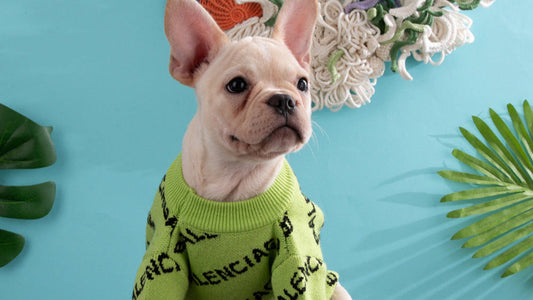 Dog Sweater Luxe
