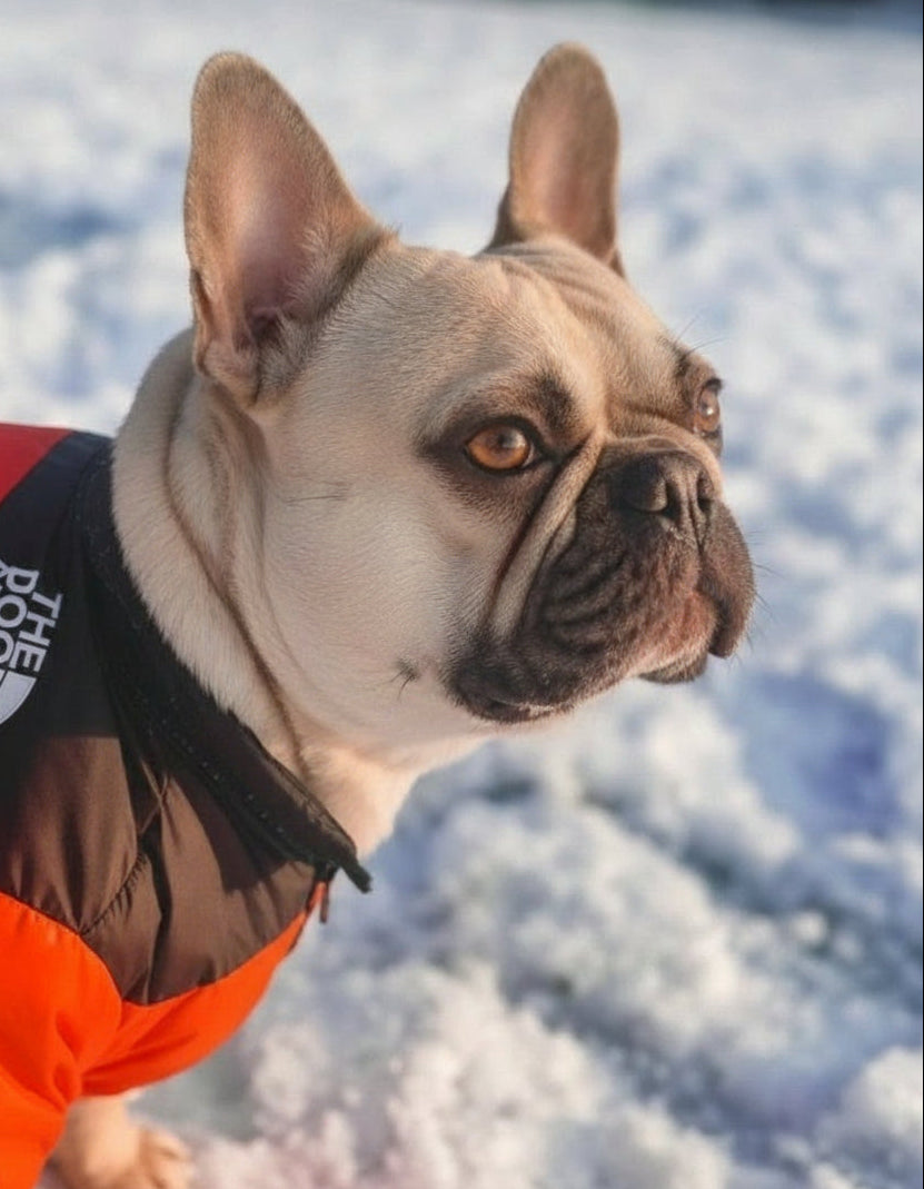 Essential Dog Puffer