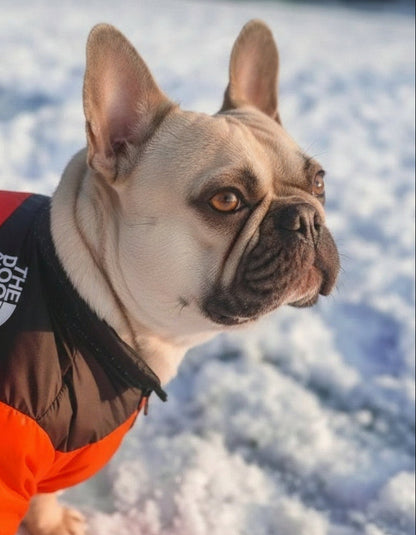 Essential Dog Puffer
