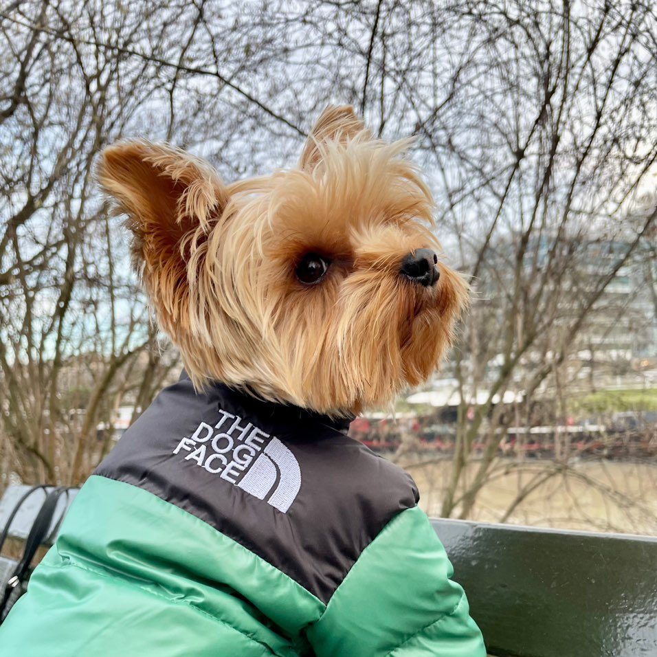 Essential Dog Puffer